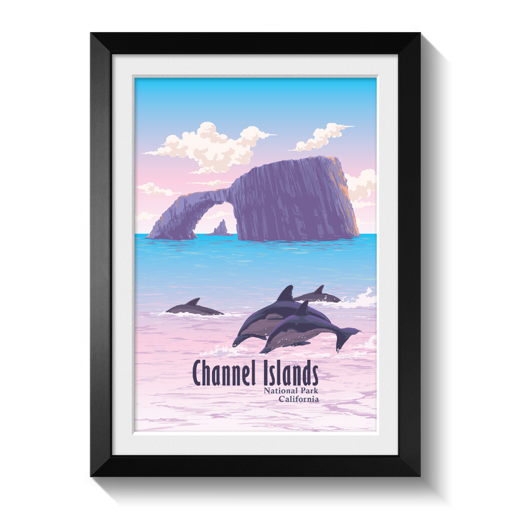 Channel Islands National Park Travel Poster
