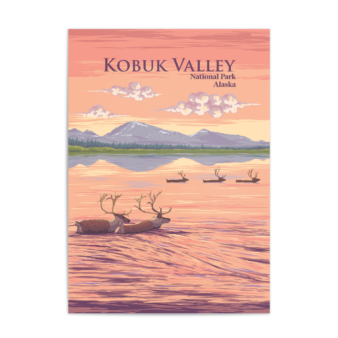 Kobuk Valley National Park Travel Poster