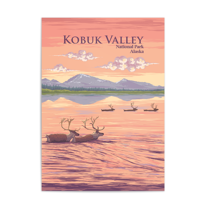 Kobuk Valley National Park Travel Poster