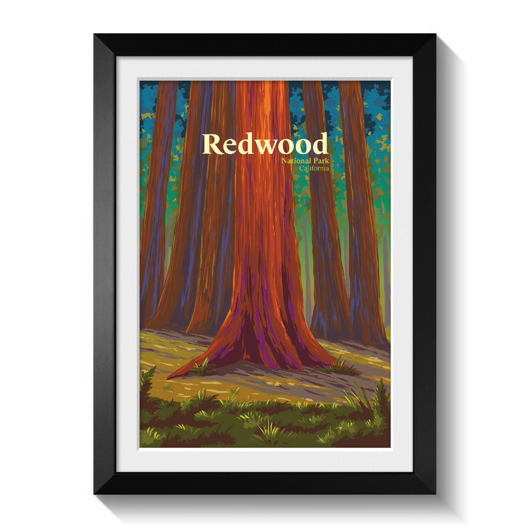 Redwood National Park Travel Poster
