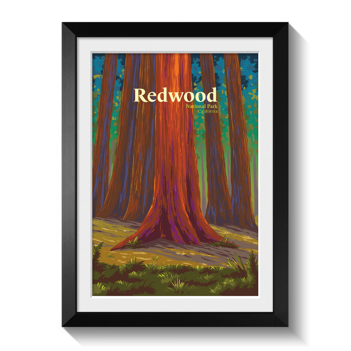 Redwood National Park Travel Poster