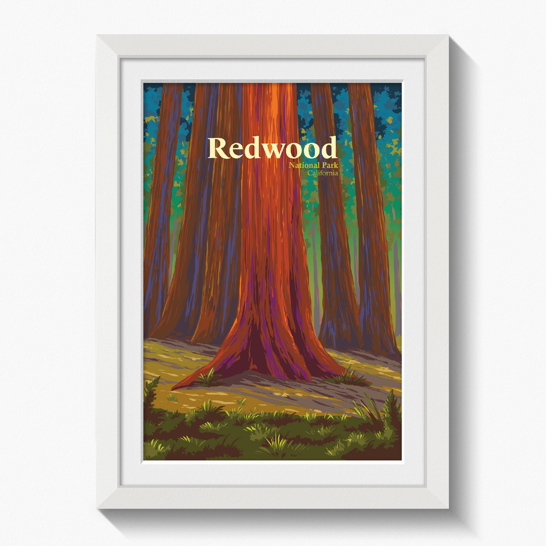Redwood National Park Travel Poster