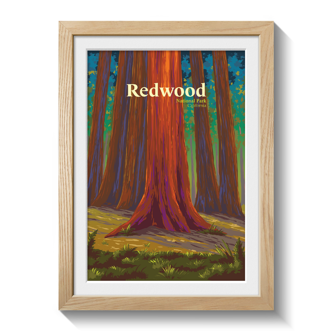 Redwood National Park Travel Poster