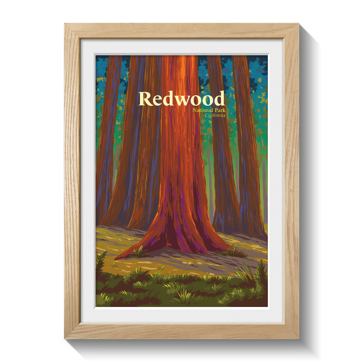 Redwood National Park Travel Poster