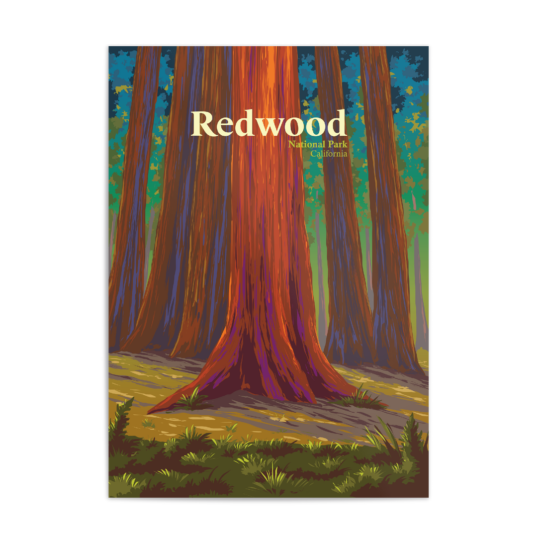 Redwood National Park Travel Poster