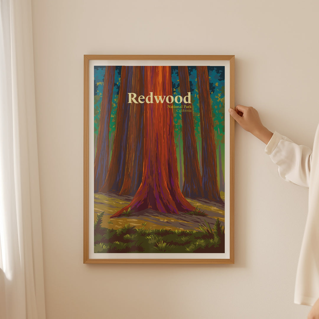 Redwood National Park Travel Poster