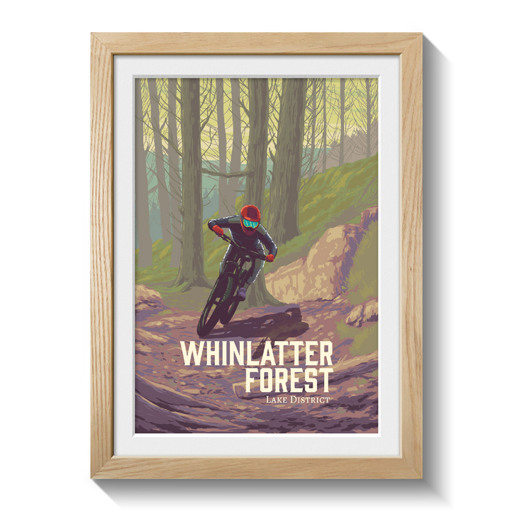 Whinlatter Forest Mountain Biking Travel Poster