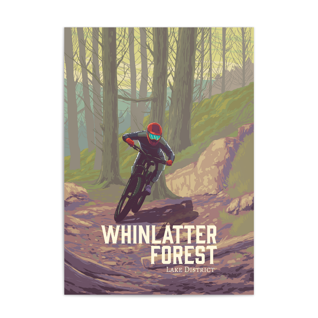Whinlatter Forest Mountain Biking Travel Poster