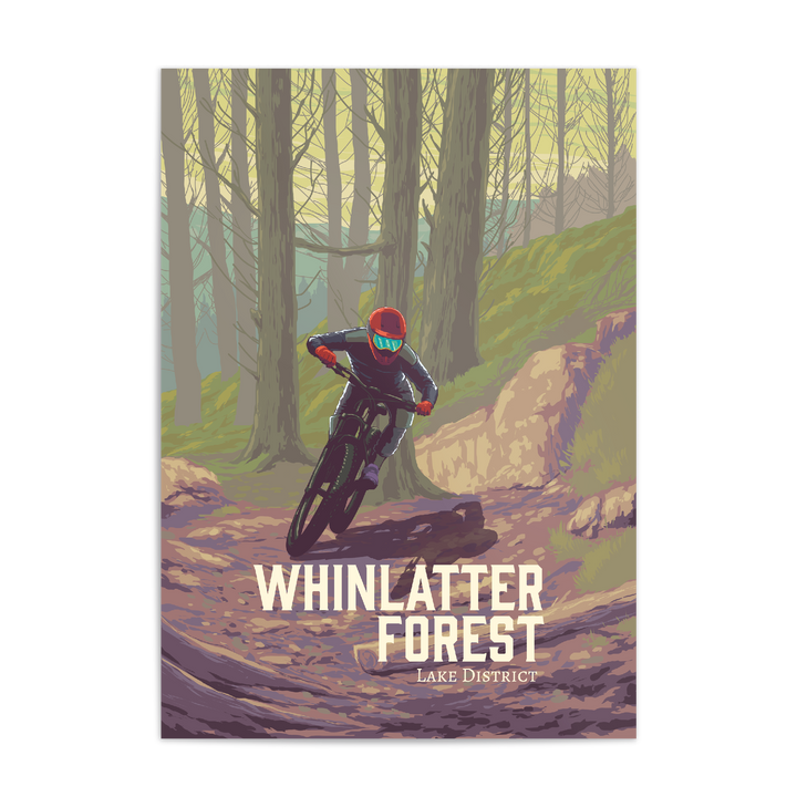 Whinlatter Forest Mountain Biking Travel Poster