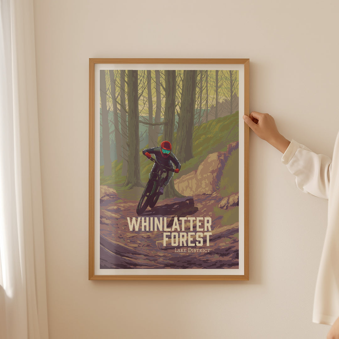 Whinlatter Forest Mountain Biking Travel Poster